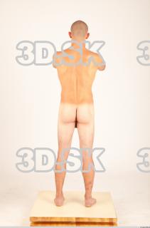 Body texture of Hanus 0038